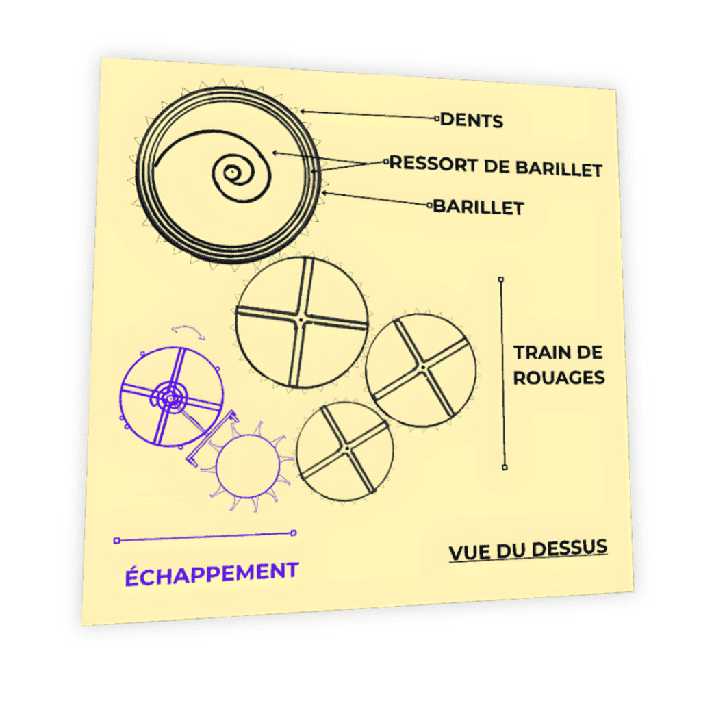 Schéma vue du dessus ressort de barillet et train de rouages montre mécanique — barillet, dents, énergie, échappement