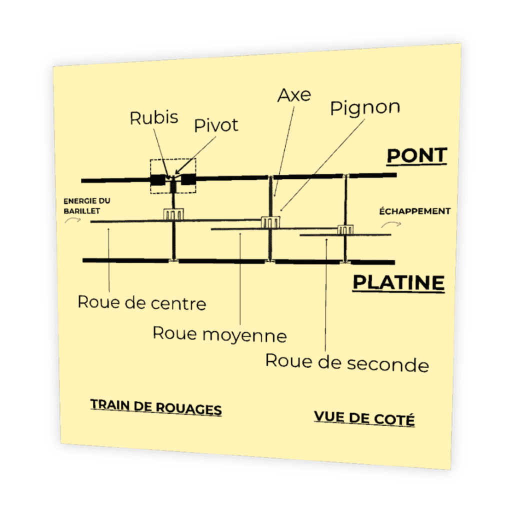 Schéma vue de côté train de rouages mouvement mécanique montre — pont, platine, roue de centre, roue moyenne, roue de seconde, pivot, rubis